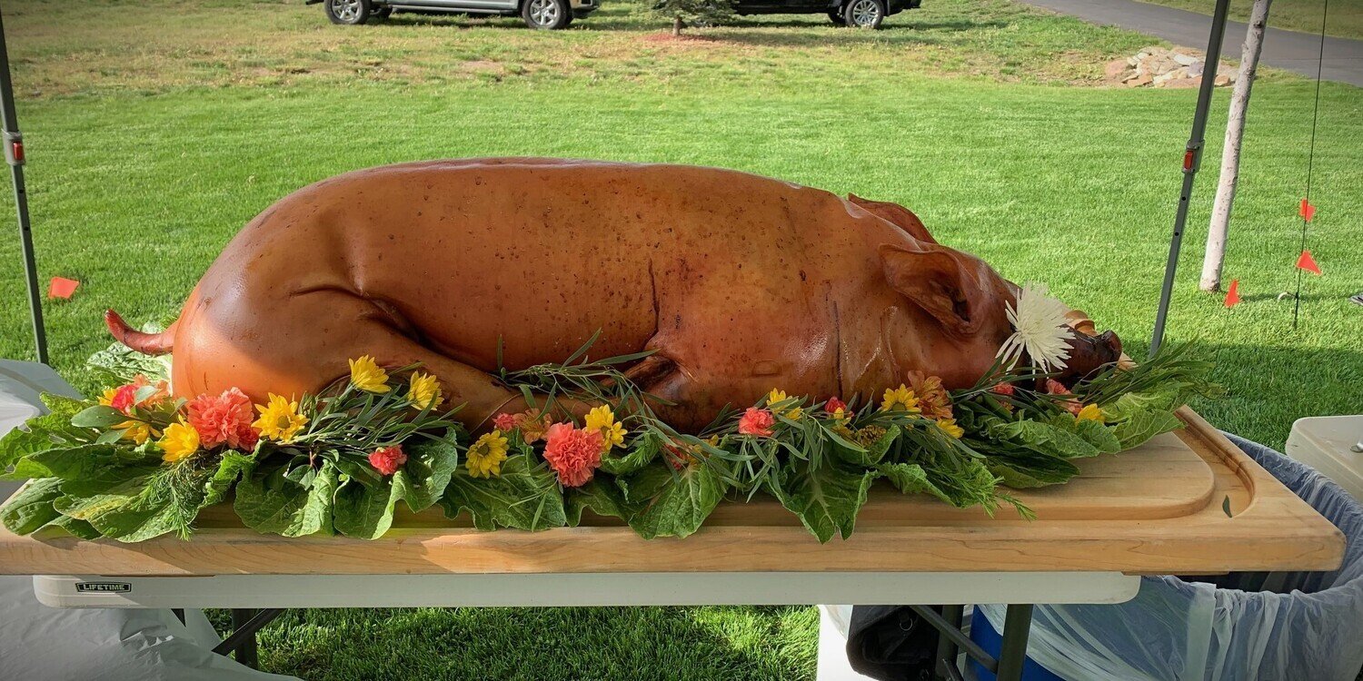 A whole hog hanging in a professional butchery shop prepared for meat processing.